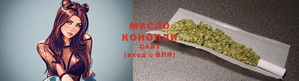 гидропоника Елабуга