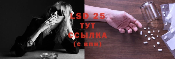 меф Ельня