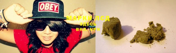 меф Ельня