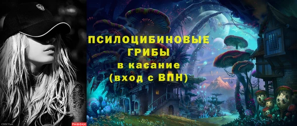 меф Ельня