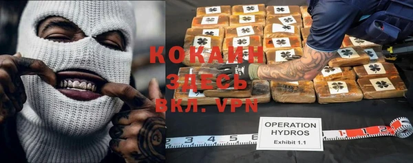 ПСИЛОЦИБИНОВЫЕ ГРИБЫ Елизово