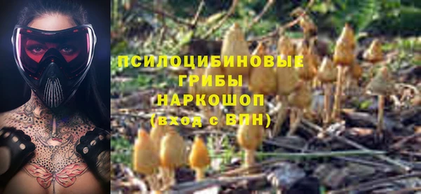 меф Ельня