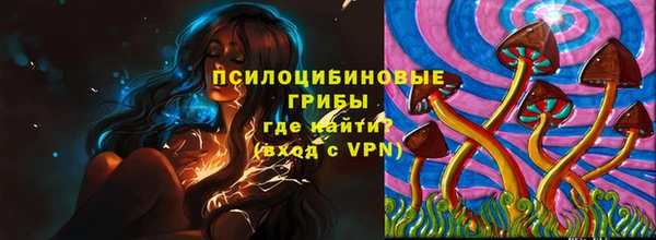 гидропоника Елабуга
