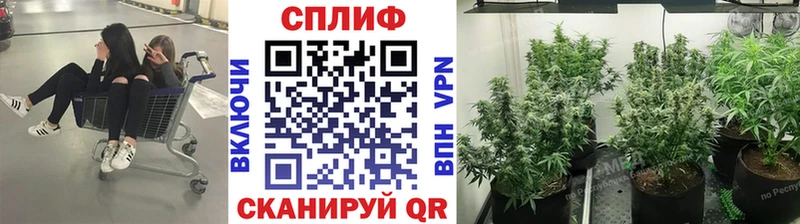 Купить закладки  Нарткала  Марихуана LSD WEED 